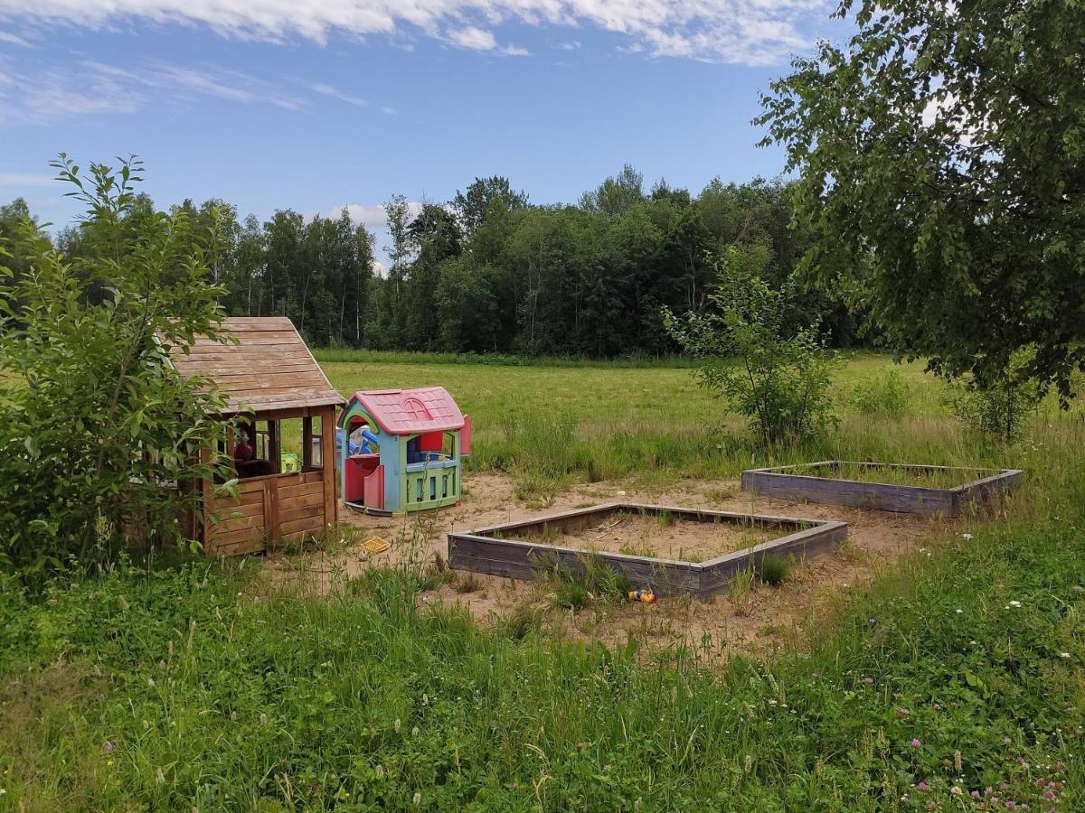 ДОМ НА БЕРЕГУ У ЧЕРТА НА РОГАХ ALEKSANDROVKA (LUZHSKY DISTRICT, LENINGRAD)  (Россия) | NOCHI